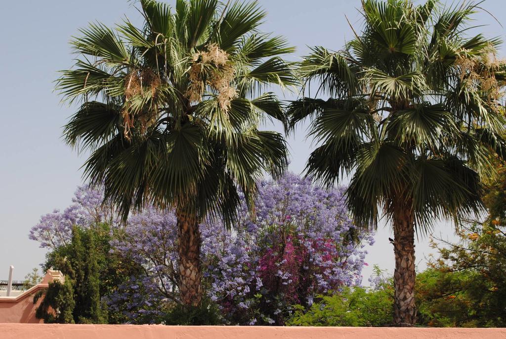 Riad Dar Palmyra Marrakesh Eksteriør billede